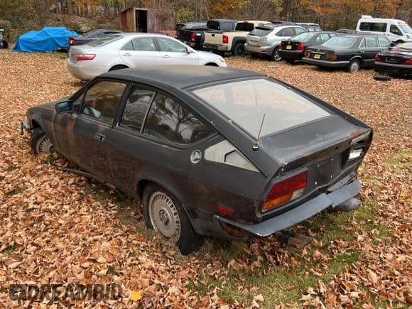✅ 1982 Alfa Romeo GTV • VIN: ZARAA669XC1002367 • Lot: 90809585. Wystawiony na Copart z przebiegiem 54 249 mil. Bezpłatny archiwum sprzedaży aukcyjnych z USA i szczegółowy raport historii pojazdu na DreamBid. Zdjęcie 3.