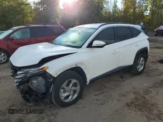 ✅ 2024 Hyundai Tucson SEL • VIN: KM8JBCDEXRU289203 • Lot: 75284494. Wystawiony na Copart z przebiegiem 13 197 mil. Bezpłatny archiwum sprzedaży aukcyjnych z USA i szczegółowy raport historii pojazdu na DreamBid. Zdjęcie 1.