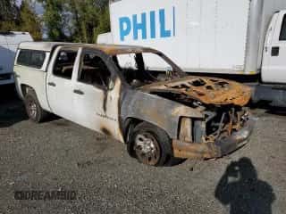 2009 Chevrolet Silverado 1500 LS with VIN 3GCEK13C09G194047, listed as a Copart auction lot 86901055 with Not provided miles and Salvage title. Bid and sale history available at DreamBid. Image 4.