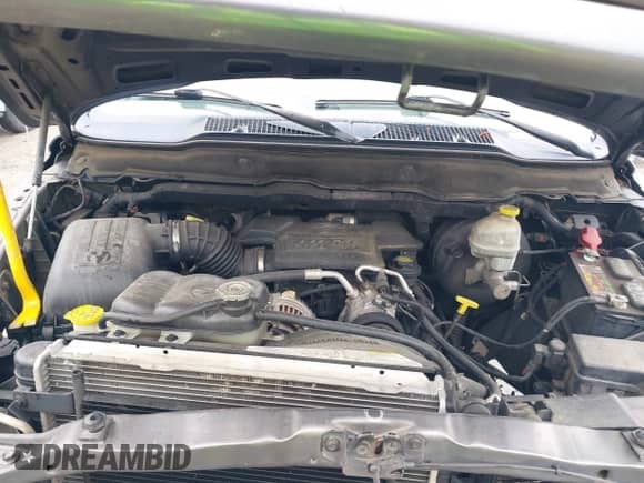 2003 Dodge 1500 ST z VIN 1D7HA18D53S347514, wystawiony jako IAAI lot #42099051 z przebiegiem 173 000 mil mil oraz . Historia ofert i sprzedaży dostępna na DreamBid. Obrazek 10.