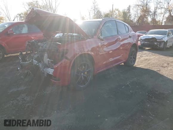 ✅ 2020 Alfa Romeo Stelvio Sport • VIN: ZASPAKAN8L7C87219 • Лот: 40842412. Опубликован ранее на IAAI с пробегом Не указан. Бесплатный доступ к архиву аукционных продаж из США и подробный отчёт об истории автомобиля на DreamBid. Изображение 17.