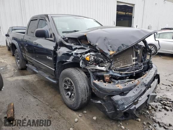 2008 Dodge 1500 SLT с VIN 1D7HU18208S599362, выставлен на аукционе Copart как лот 65437554 с пробегом 118 227 миль миль и Списание • Salvage title. История ставок и продаж доступна на DreamBid. Изображение 4.