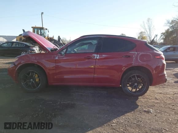 ✅ 2020 Alfa Romeo Stelvio Sport • VIN: ZASPAKAN8L7C87219 • Лот: 40842412. Опубликован ранее на IAAI с пробегом Не указан. Бесплатный доступ к архиву аукционных продаж из США и подробный отчёт об истории автомобиля на DreamBid. Изображение 14.