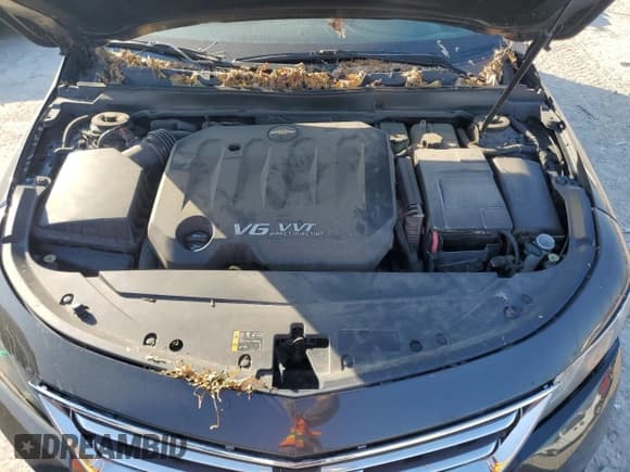 ✅ 2015 Chevrolet Impala LT • VIN: 1G1125S32FU143433 • Lot: 75541884. Wystawiony na Copart z przebiegiem 112 145 mil. Bezpłatny archiwum sprzedaży aukcyjnych z USA i szczegółowy raport historii pojazdu na DreamBid. Zdjęcie 11.