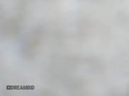 ✅ 2014 FIAT 500 Pop • VIN: 3C3CFFAR3ET165003 • Lot: 42754818. Listed on IAAI with 117,211 mi. Free auction sales archive from the USA and detailed vehicle history report at DreamBid. Image 4.