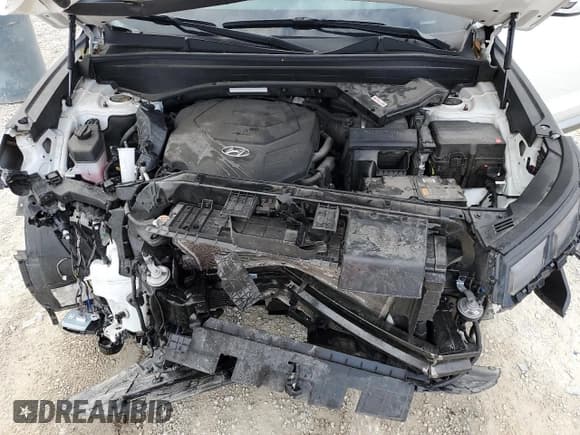 ✅ 2023 Hyundai Palisade SEL • VIN: KM8R2DGE2PU576505 • Лот: 81070244. Опубликован ранее на Copart с пробегом 31 604 миль. Бесплатный доступ к архиву аукционных продаж из США и подробный отчёт об истории автомобиля на DreamBid. Изображение 12.