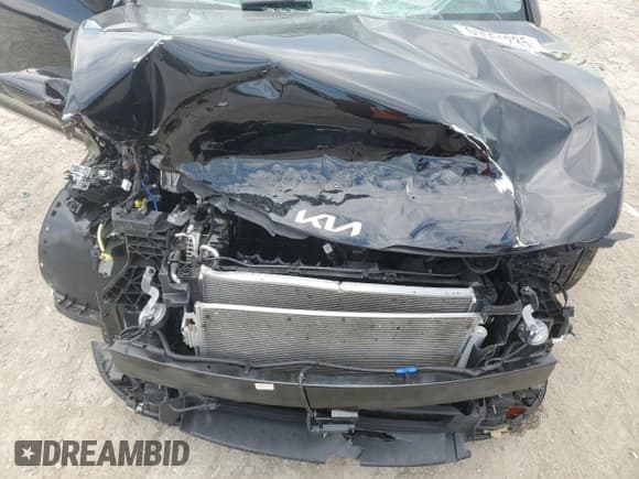 ✅ 2025 Kia Sportage SX-Prestige • VIN: 5XYK5CDF2SG270032 • Lot: 69501235. Wystawiony na Copart z przebiegiem Nie podano. Bezpłatny archiwum sprzedaży aukcyjnych z USA i szczegółowy raport historii pojazdu na DreamBid. Zdjęcie 12.