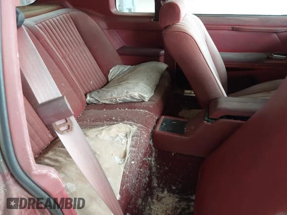 ✅ 1984 Ford Thunderbird • VIN: 1FABP4630EA111572 • Lot: 41569309. Listed on IAAI with 7,919 mi. Free auction sales archive from the USA and detailed vehicle history report at DreamBid. Image 8.