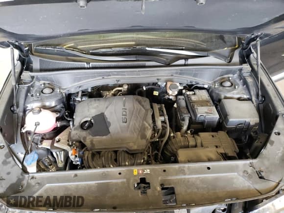 ✅ 2021 Hyundai Santa Fe SEL • VIN: 5NMS6DAJ0MH344407 • Lot: 58450923. Wystawiony na Copart z przebiegiem 25 264 mil. Bezpłatny archiwum sprzedaży aukcyjnych z USA i szczegółowy raport historii pojazdu na DreamBid. Zdjęcie 13.