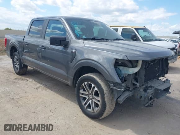 ✅ 2021 Ford F-150 XL • VIN: 1FTEW1EP1MKE81404 • Lot: 43300642. Listed on IAAI with 83,060 mi. Free auction sales archive from the USA and detailed vehicle history report at DreamBid. Image 1.