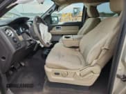 ✅ 2009 Ford F-150 XL • VIN: 1FTRW14809FA61709 • Lot: 81482525. Wystawiony na Copart z przebiegiem 86 928 mil. Bezpłatny archiwum sprzedaży aukcyjnych z USA i szczegółowy raport historii pojazdu na DreamBid. Zdjęcie 7.