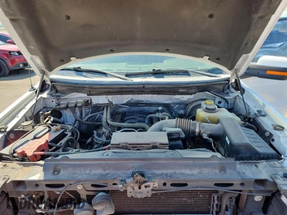 ✅ 2014 Ford F-150 XL • VIN: 1FTFX1CFXEKG32978 • Lot: 70057265. Listed on Copart with 73,435 mi. Free auction sales archive from the USA and detailed vehicle history report at DreamBid. Image 11.