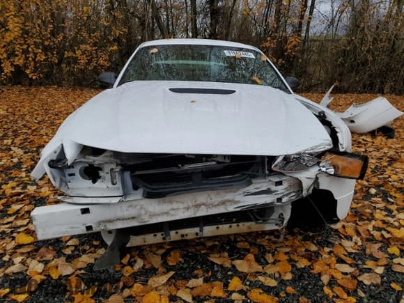 ✅ 2000 Ford Mustang • VIN: 1FAFP4049YF248651 • Lot: 91662445. Listed on Copart with 128,520 mi. Free auction sales archive from the USA and detailed vehicle history report at DreamBid. Image 5.