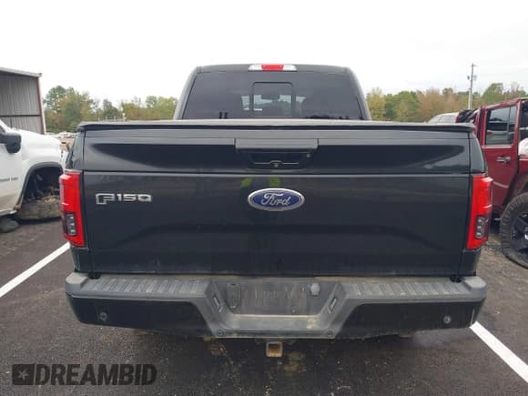 ✅ 2015 Ford F-150 Platinum • VIN: 1FTFW1EG6FFB74259 • Lot: 43546838. Listed on IAAI with 249,970 mi. Free auction sales archive from the USA and detailed vehicle history report at DreamBid. Image 16.