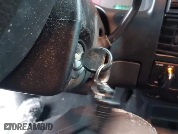 ✅ 2004 Dodge Dakota SLT • VIN: 1D7HG48N34S665027 • Lot: 41395509. Wystawiony na IAAI z przebiegiem 128 064 mil. Bezpłatny archiwum sprzedaży aukcyjnych z USA i szczegółowy raport historii pojazdu na DreamBid. Zdjęcie 11.