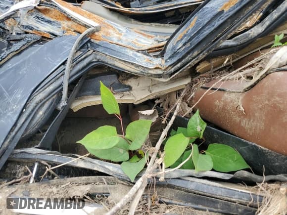 ✅ 2012 Jeep Grand Cherokee Overland • VIN: 1C4RJFCG8CC245390 • Lot: 67200305. Listed on Copart with Not provided. Free auction sales archive from the USA and detailed vehicle history report at DreamBid. Image 11.