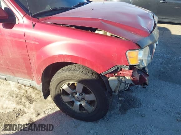 ✅ 2012 Ford Escape Limited • VIN: 1FMCU0EG3CKA83256 • Lot: 43871502. Wystawiony na IAAI z przebiegiem 281 178 mil. Bezpłatny archiwum sprzedaży aukcyjnych z USA i szczegółowy raport historii pojazdu na DreamBid. Zdjęcie 13.