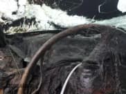 ✅ 1999 Ford F-150 XL • VIN: 1FTRX08L5XKB97084 • Lot: 89793435. Wystawiony na Copart z przebiegiem Nie podano. Bezpłatny archiwum sprzedaży aukcyjnych z USA i szczegółowy raport historii pojazdu na DreamBid. Zdjęcie 9.