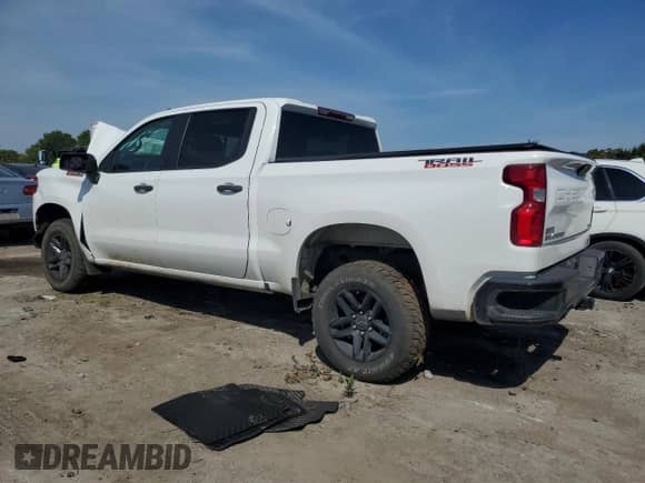 2021 Chevrolet Silverado 1500 Custom Trail Boss with VIN 1GCPYCEFXMZ164251, listed as a Copart auction lot 80461925 with Not provided miles and Salvage title. Bid and sale history available at DreamBid. Image 2.