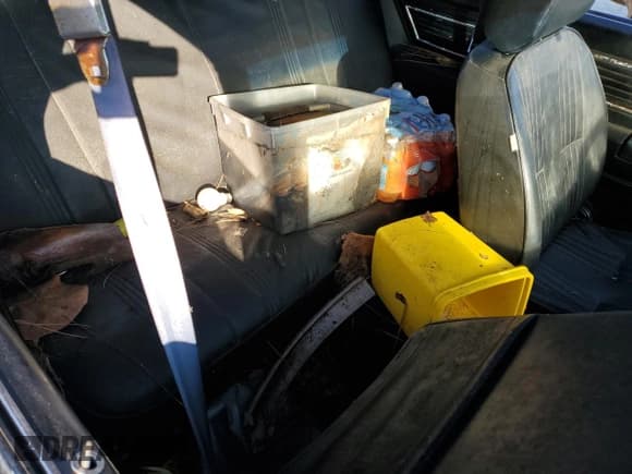 ✅ 1980 Chevrolet Malibu • VIN: 1T27KAB434715 • Lot: 78020984. Listed on Copart with 4,975 mi. Free auction sales archive from the USA and detailed vehicle history report at DreamBid. Image 10.