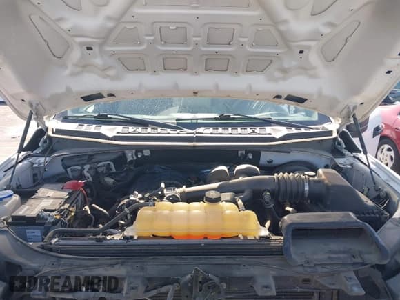 ✅ 2018 Ford F-150 XL • VIN: 1FTEX1CBXJFE23719 • Lot: 42606957. Wystawiony na IAAI z przebiegiem 135 354 mil. Bezpłatny archiwum sprzedaży aukcyjnych z USA i szczegółowy raport historii pojazdu na DreamBid. Zdjęcie 10.