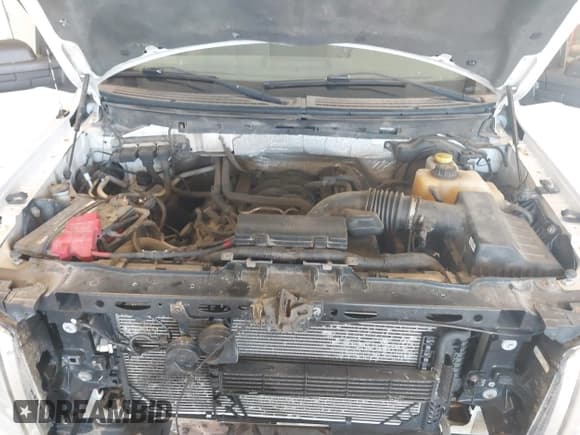 ✅ 2014 Ford F-150 XL • VIN: 1FTFW1EF8EFA80244 • Лот: 42992239. Опубликован ранее на IAAI с пробегом 193 600 миль. Бесплатный доступ к архиву аукционных продаж из США и подробный отчёт об истории автомобиля на DreamBid. Изображение 10.