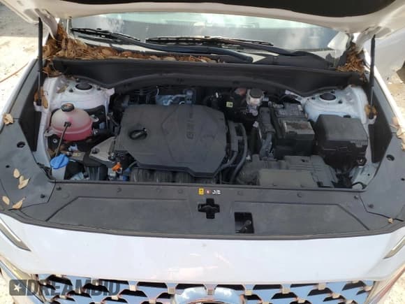 ✅ 2021 Hyundai Santa Fe SEL • VIN: 5NMS34AJ4MH341907 • Lot: 56695954. Wystawiony na Copart z przebiegiem 38 068 mil. Bezpłatny archiwum sprzedaży aukcyjnych z USA i szczegółowy raport historii pojazdu na DreamBid. Zdjęcie 12.