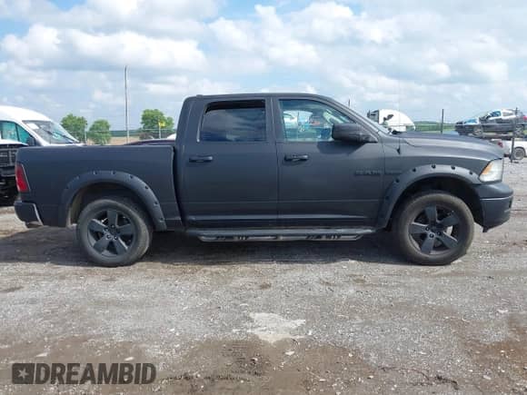 2010 Dodge 1500 Sport with VIN 1D7RV1CT0AS108974, listed as a IAAI auction lot 42290026 with 185,336 mi miles and . Bid and sale history available at DreamBid. Image 13.