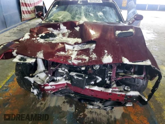 ✅ 2019 Dodge Challenger R/T Scat Pack • VIN: 2C3CDZFJ5KH587045 • Lot: 38755254. Listed on Copart with Not provided. Free auction sales archive from the USA and detailed vehicle history report at DreamBid. Image 11.