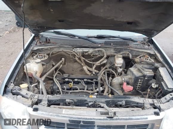 ✅ 2011 Ford Escape XLT • VIN: 1FMCU9D77BKB66919 • Лот: 43878768. Опубликован ранее на IAAI с пробегом 235 223 миль. Бесплатный доступ к архиву аукционных продаж из США и подробный отчёт об истории автомобиля на DreamBid. Изображение 10.