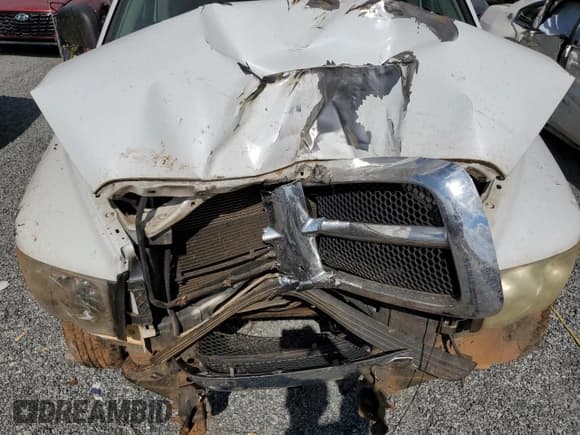 ✅ 2003 Dodge 1500 ST • VIN: 1D7HA18N93J610439 • Лот: 74535804. Опубликован ранее на Copart с пробегом Не указан. Бесплатный доступ к архиву аукционных продаж из США и подробный отчёт об истории автомобиля на DreamBid. Изображение 11.