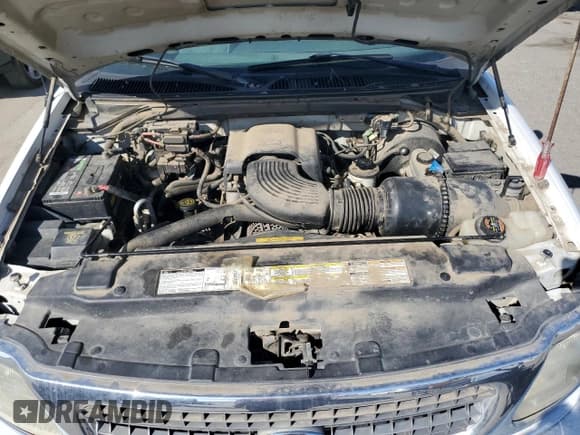 ✅ 1998 Ford Expedition XLT • VIN: 1FMRU1761WLC48353 • Lot: 46584925. Listed on Copart with 162,444 mi. Free auction sales archive from the USA and detailed vehicle history report at DreamBid. Image 12.