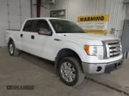 ✅ 2009 Ford F-150 XL • VIN: 1FTPW14V19FB30534 • Lot: 42896995. Listed on IAAI with 132,005 mi. Free auction sales archive from the USA and detailed vehicle history report at DreamBid. Image 1.