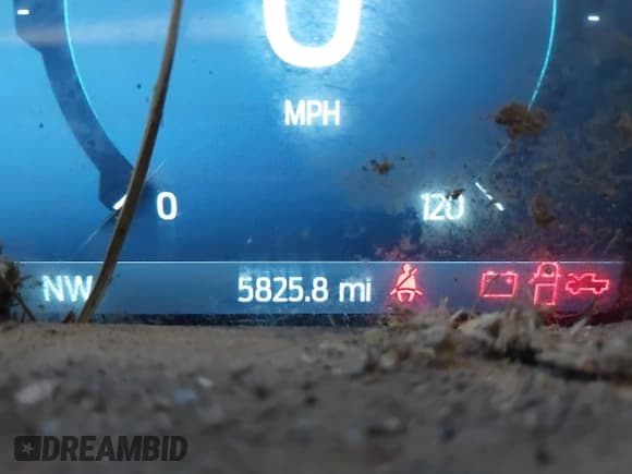 ✅ 2025 Ford F-150 XLT • VIN: 1FTFW3L87SKD34643 • Lot: 43523636. Wystawiony na IAAI z przebiegiem 5 825 mil. Bezpłatny archiwum sprzedaży aukcyjnych z USA i szczegółowy raport historii pojazdu na DreamBid. Zdjęcie 15.