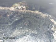 ✅ 2011 Chevrolet Express Cargo • VIN: 1GCWGFCG7B1187168 • Лот: 42423425. Опубликован ранее на IAAI с пробегом Не указан. Бесплатный доступ к архиву аукционных продаж из США и подробный отчёт об истории автомобиля на DreamBid. Изображение 15.