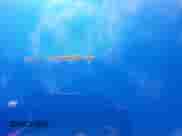 2017 Mitsubishi Outlander ES with VIN JA4AP3AU6HZ028521, listed as a IAAI auction lot 42977927 with 134,815 mi miles and . Bid and sale history available at DreamBid. Image 6.