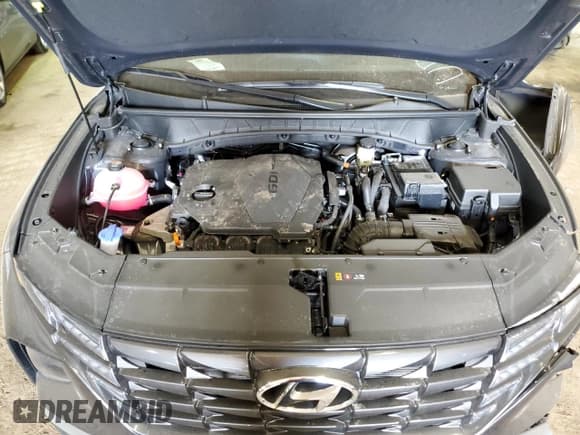 ✅ 2023 Hyundai Tucson SEL • VIN: 5NMJBCAEXPH216765 • Lot: 52007373. Wystawiony na Copart z przebiegiem 2 314 mil. Bezpłatny archiwum sprzedaży aukcyjnych z USA i szczegółowy raport historii pojazdu na DreamBid. Zdjęcie 12.