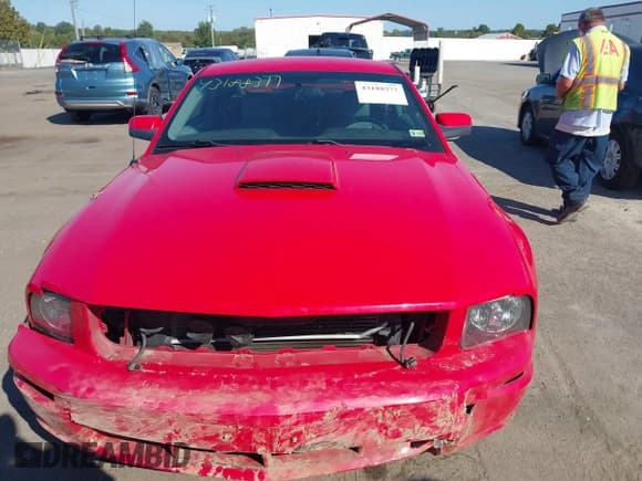 ✅ 2008 Ford Mustang GT Deluxe • VIN: 1ZVHT82H285128201 • Lot: 43188377. Listed on IAAI with 58,469 mi. Free auction sales archive from the USA and detailed vehicle history report at DreamBid. Image 13.