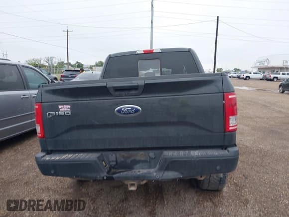 ✅ 2016 Ford F-150 XLT • VIN: 1FTEW1EG4GFA43179 • Lot: 42169863. Listed on IAAI with 191,906 mi. Free auction sales archive from the USA and detailed vehicle history report at DreamBid. Image 17.