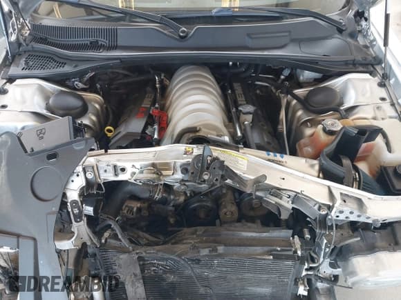 ✅ 2009 Dodge Challenger SRT-8 • VIN: 2B3LJ74W59H579918 • Lot: 41699280. Wystawiony na IAAI z przebiegiem Nie podano. Bezpłatny archiwum sprzedaży aukcyjnych z USA i szczegółowy raport historii pojazdu na DreamBid. Zdjęcie 10.