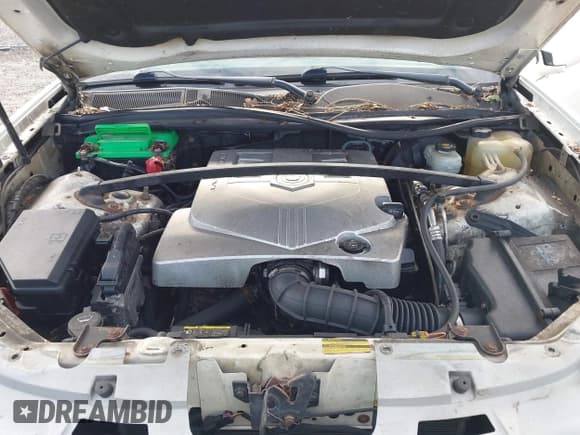 ✅ 2008 Cadillac SRX AWD • VIN: 1GYEE437480151758 • Lot: 43718990. Wystawiony na IAAI z przebiegiem 172 003 mil. Bezpłatny archiwum sprzedaży aukcyjnych z USA i szczegółowy raport historii pojazdu na DreamBid. Zdjęcie 10.