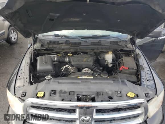 2009 Dodge 1500 SLT with VIN 1D3HV18P09S797709, listed as a Copart auction lot 79012634 with 238,152 mi miles and Clean title. Bid and sale history available at DreamBid. Image 11.