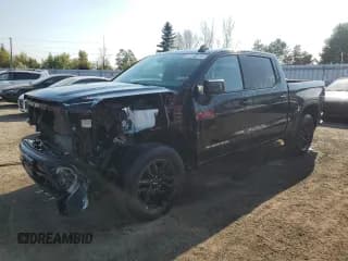 ✅ 2020 GMC Sierra 1500 • VIN: 1GTP9AEK2LZ275874 • Лот: 80690705. Опубликован ранее на Copart с пробегом 109 644 миль. Бесплатный доступ к архиву аукционных продаж из США и подробный отчёт об истории автомобиля на DreamBid. Изображение 1.
