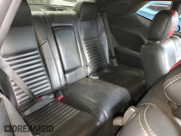 ✅ 2009 Dodge Challenger R/T • VIN: 2B3LJ54T89H617152 • Lot: 43957805. Wystawiony na Copart z przebiegiem 215 445 mil. Bezpłatny archiwum sprzedaży aukcyjnych z USA i szczegółowy raport historii pojazdu na DreamBid. Zdjęcie 10.