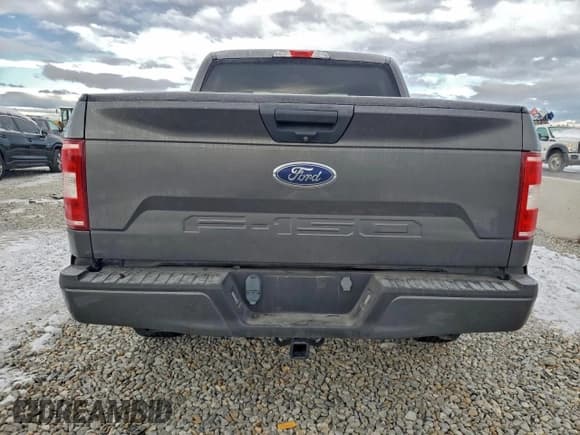 ✅ 2019 Ford F-150 XL • VIN: 1FTEW1EP1KKD04672 • Lot: 95752275. Listed on Copart with 146,884 mi. Free auction sales archive from the USA and detailed vehicle history report at DreamBid. Image 6.