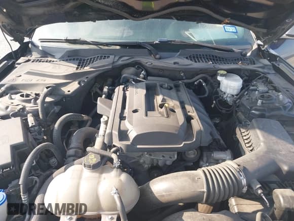 ✅ 2020 Ford Mustang EcoBoost Premium • VIN: 1FA6P8TH5L5177999 • Lot: 41894483. Wystawiony na IAAI z przebiegiem 74 158 mil. Bezpłatny archiwum sprzedaży aukcyjnych z USA i szczegółowy raport historii pojazdu na DreamBid. Zdjęcie 10.