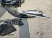 2020 Mitsubishi Outlander ES с VIN JA4AD2A35LZ032871, выставлен на аукционе Copart как лот 81751605 с пробегом 87 239 миль миль и Списание • Salvage title. История ставок и продаж доступна на DreamBid. Изображение 13.