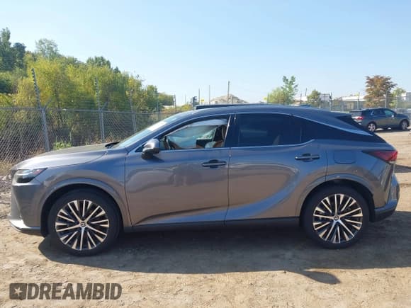 ✅ 2023 Lexus RX 350 F Sport • VIN: 2T2BAMCAXPC024822 • Lot: 43253717. Listed on IAAI with 19,200 mi. Free auction sales archive from the USA and detailed vehicle history report at DreamBid. Image 14.