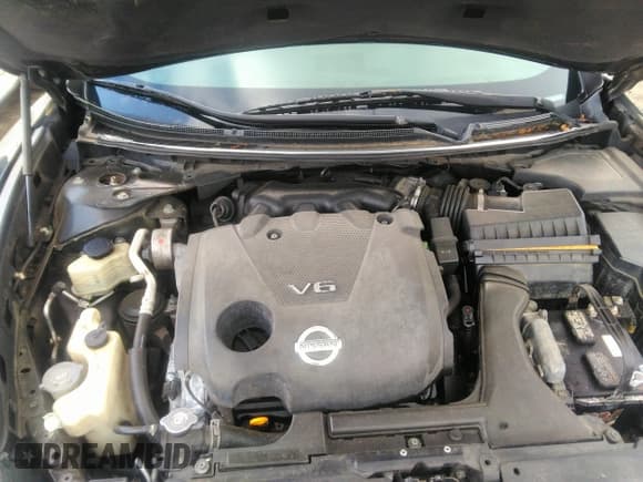 ✅ 2009 Nissan Maxima SV • VIN: 1N4AA51E19C832649 • Lot: 42857290. Listed on IAAI with Not provided. Free auction sales archive from the USA and detailed vehicle history report at DreamBid. Image 10.