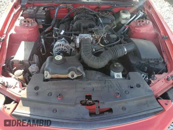 ✅ 2007 Ford Mustang Deluxe • VIN: 1ZVFT84N975296099 • Lot: 58169845. Listed on Copart with 108,251 mi. Free auction sales archive from the USA and detailed vehicle history report at DreamBid. Image 11.